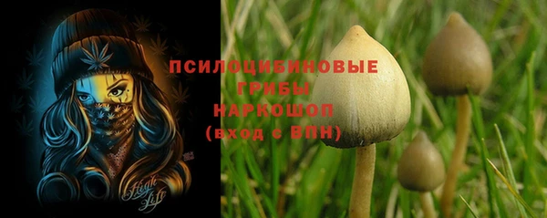 стаф Остров
