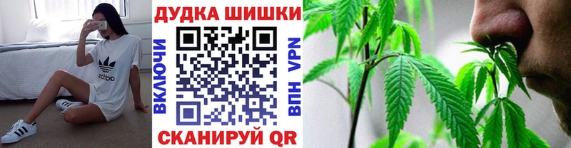 где можно купить наркотик  Апатиты  Канабис сатива 